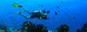 Scuba Diving